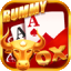 rummy gold 41 bonus